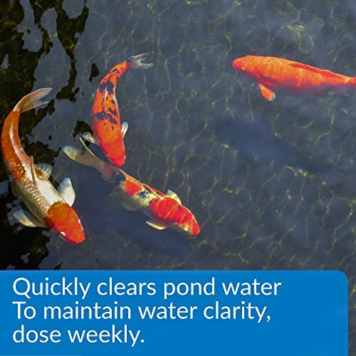 API Pond ACCU-Clear (64 fl oz) Water Clarifier - Improves Filter Efficiency - Image 3
