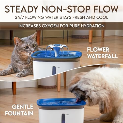 Veken Innovation Award Winner 95oz/2.8L Cat Water Fountain, C1 Classic - Image 2
