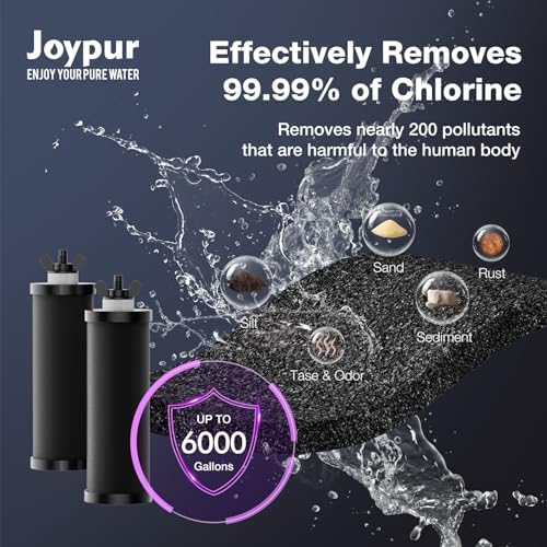 Black Purification Elements, Replacement Filter for Berlkey® BB9-2 - Image 3
