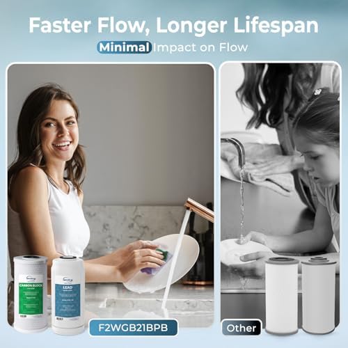 iSpring F2WGB21BPB 2-Stage Whole House Water Filter Set for WGB21B-PB - Image 5