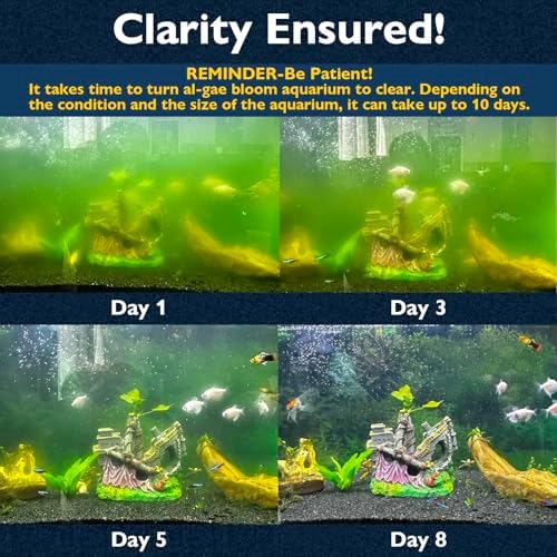 130GPH U - V Aquarium Filter Green Water Cleaning for 10-30 Gallon Tanks - Image 2