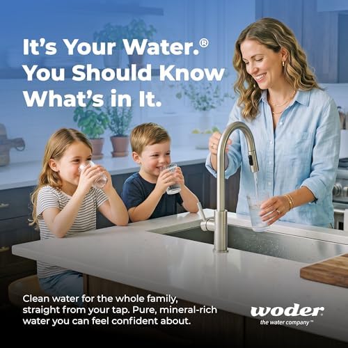 Under Sink Water Filter System, Direct Connect to Main Faucet - Image 3
