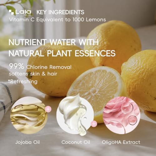 High Pressure Aromatherapy Filtered Shower Head with Handheld - Image 5