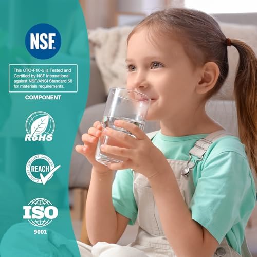 SimPure 5 Micron 10" x 2.5" Whole House CTO Carbon Sediment Water Filter - Image 4