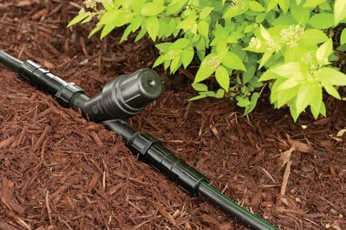 Rain Bird RBY100S Drip Filter, 1" - Image 2