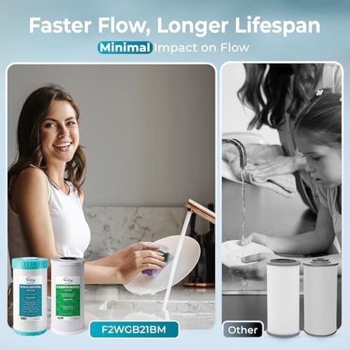 iSpring F2WGB21BM 2-Stage Iron Whole House Water Filter Set for WGB21BM - Image 5