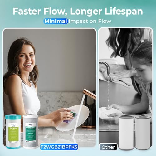 iSpring F2WGB21BPFKS 2-Stage Whole House Water Filter Set for WGB21B-PFKS - Image 6