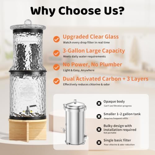 Glass Gravity Water Filter System, 3 Gallon with Dual Carbon Filtration - Image 3
