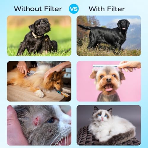H&G Lifestyles Garden Hose Filter for Hard Water,Water Hose Filter for Pets - Image 6