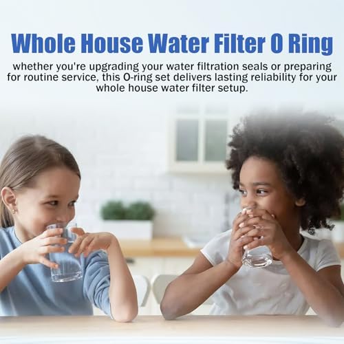 Whole House Water Filter O Ring Replacement Seals & Gaskets - 2PCS - Image 7