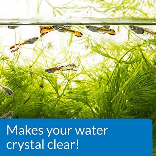 API ACCU-CLEAR Freshwater Aquarium Water Clarifier 8-Ounce Bottle - Image 7
