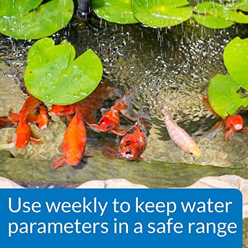 API POND MASTER TEST KIT Pond Water Test Kit 500-Test - Image 5