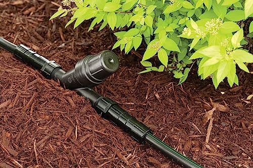 Rain Bird RBY075S Drip Filter, 3/4" - Image 2