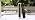 VIVOSUN Digital pH Meter TDS EC Meter for Water 0.01 Accuracy Hydroponics - Image 7