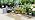 Solar Drip Irrigation System, Auto Plant Waterer for 30 Pots - Image 7